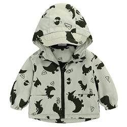 Famuka Baby Junge Dinosaurier Jacke Fleece Reißverschluss Herbst Frühling Kleinkinder Mantel Übergangsjacke Kapuzenjacke (Grün, 24M) von Famuka