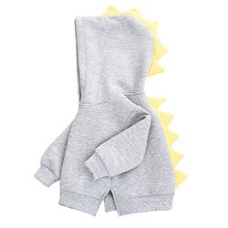 Famuka Baby Kapuzenpullover Kleinkinder Hoodie Jungen Mädchen Einfarbig Sweatshirt Pullover (3 Jahre, 110, Grau) von Famuka