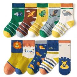 FedMois 10er Pack Kinder Socken Jungen Mädchen Strümpfe Baumwolle, Löwe und Dinosaurier, Gr. 19-22 von FedMois