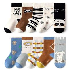FedMois 10er Pack Kinder Socken Jungen Mädchen Strümpfe Baumwolle, Panda und Hund, Gr. 23-26 von FedMois