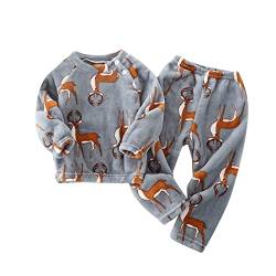 FeiliandaJJ Baby Flannel Zweiteiliger Schlafanzug Kleinkind Kinder Mädchen Jungen Pyjama Set Herbst Winter Fleece Schlafanzüge Nachtwäsche Set 80 86 92 98 104 110 116 122 128 von FeiliandaJJ