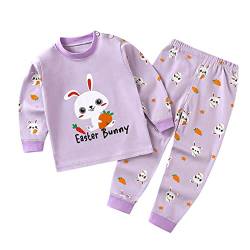 FeiliandaJJ Kleinkind Mädchen Jungen Zweiteiliger Schlafanzug Set Baby Kinder Cartoon Schlafanzüge Nachtwäsche Set Frühling Herbst Winter Langarm Pyjama Set 50 56 62 68 74 80 86 92 von FeiliandaJJ