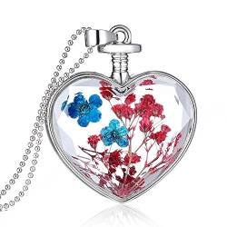Feilok Klassik Herz-Form Blau und Rot Trockene Blumen Transparente Kristall Damen Länge Kette Anhänger Halskette… von Feilok