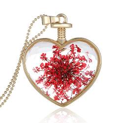 Feilok Klassik Herz-Form Transparente Kristall Damen Länge Kette Anhänger Halskette mit Rot Trockene Blumen… von Feilok