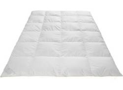 Daunenbettdecke FRAU HOLLE "Ava" Bettdecken Gr. B/L: 135 cm x 200 cm, warm, weiß Allergiker Bettdecke von Frau Holle