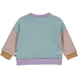 Fred's World by Green Cotton Baby Boys Block Sweatshirt, Mineral, 68 von Fred's World by Green Cotton