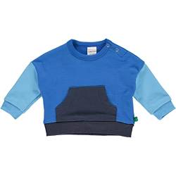 Fred's World by Green Cotton Baby Boys Block Sweatshirt Pullover Sweater, Victoria Blue, 80 von Fred's World by Green Cotton