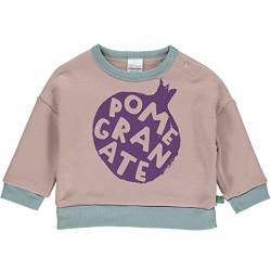 Fred's World by Green Cotton Baby Boys Veggie Sweatshirt, Rose Wood, 68 von Fred's World by Green Cotton