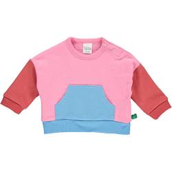 Fred's World by Green Cotton Baby Girls Block Sweatshirt Pullover Sweater, Pink, 92 von Fred's World by Green Cotton