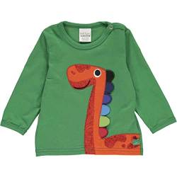 Fred's World by Green Cotton Baby - Jungen Hello Dino L/S Baby T Shirt, Earth Green, 68 EU von Fred's World by Green Cotton