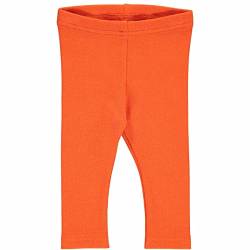 Fred's World by Green Cotton Baby - Mädchen Alfa Rib Baby Leggings, Mandarin, 86 EU von Fred's World by Green Cotton