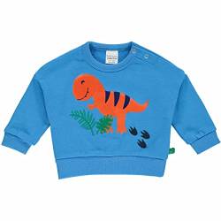 Fred's World by Green Cotton Jungen Dinosaur Sweatshirt Baby Pullover Sweater, Happy Blue, 68 EU von Fred's World by Green Cotton