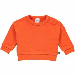 Fred's World by Green Cotton Jungen Sweatshirt Baby Pullover Sweater, Mandarin, 74 EU von Fred's World by Green Cotton