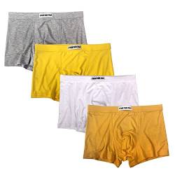 Friendumo 4 Pack Multicolor Herren Boxershorts Lose Atmungsaktive Weiche Rayon-Größe S von Friendumo