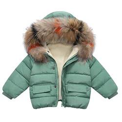 Fulidngzg Winterjacke Jungen 98, Mädchen Kapuzenjacke Dicke Winterjacke Kinderjacken Kleinkind Gefüttert Übergangsjacke Steppjacke Lang Reißverschluss Wintermantel Winter Baby Schneeanzug Jacke von Fulidngzg