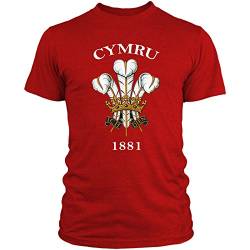Cymru walisisches Retro-Rugby-T-Shirt – rote drei Federn – Aktiv-/Freizeitkleidung Gr. L, rot von FunkyShirt