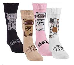 FussFreunde Kinder Socken, 6 Paar für Jungen/Mädchen,Schadstoffgeprüft, viele Muster (as3, numeric, numeric_27, numeric_30, regular, Katzen) von FussFreunde