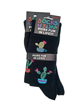 Spaß mit Socken, 21 Motive, 2 Paar Fun Socken mit ANTI-LOCH-GARANTIE (Kaktus, 36-41) von FussFreunde