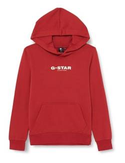 G-STAR RAW Jungen SS23203 hdd sweater Sweater, Rot (rusty red D24988-01-A923), 10 Jahre von G-STAR RAW