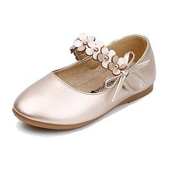 GAOJU Kinder Mädchen Prinzessin Kostüm Ballerina Festliche Mädchenschuhe Taufschuhe Hochzeit Schuhe von GAOJU