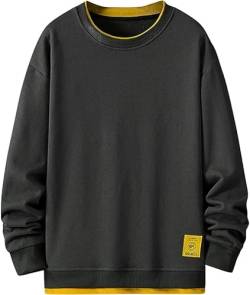 GIJOVANA Pullover Herren Sweatshirt Ohne Kapuze Basic Kontrastfarbenes Langarmshirt Streetwear Sweater Mit Doppeltem Saum Unisex Crewneck(Grau,M) von GIJOVANA