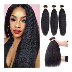 Haarbündel Kinky Straight Human Hair Bündel Yaki Straight Human Hair Webe 3/4 PCs unverarbeitet Malaysia Jungfrau menschliches Haar Erweiterungen natürliche Schwarz Haarverlängerungen (Size : Remy Ha von GLigeT