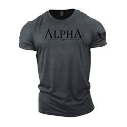 GYMTIER Alpha – Spartanisches Fitness-T-Shirt für Herren, Bodybuilding, Gewichtheben, Strongman-Training, Top, Aktivkleidung, Spartaner, geschmiedet, grau, XL von GYMTIER