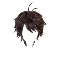 GZIRUE Braune Kurze Gerade Perücke Haar für Halloween Party Anime Aoba Johsai Oikawa Tooru Cosplay Kostüm Wig von GZIRUE