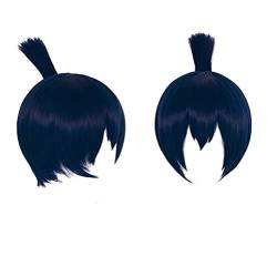 GZIRUE Dunkelblaue Schwarze Kurze Gerade Perücke Haar mit Pferdeschwanz zum Einclipsen für Aki Hayakawa Perücke Halloween Party Kostüm Man Cosplay Wig von GZIRUE