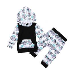Unisex Säugling 2 stücke Baby Kleidung Set Baby Mädchen Jungen Cartoon Tier Sloth Hoodie +Hosen Kleidung von Gajaous