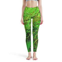 Gamoii Damen Yoga Leggings Grüne Wald Baum Landschaft Bedruckte Sporthose Yogahose High Waist Weich Yoga Hose White l von Gamoii