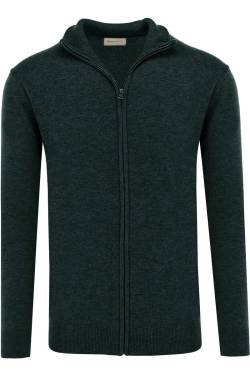 GANT Regular Fit Cardigan grün, Einfarbig von Gant