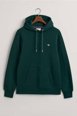 GANT Regular Fit Kapuzen Sweatshirt grün, Einfarbig von Gant