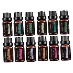 Gatuida 12 Stk ätherische öle essentielle Öle Frauen parfümieren ätherisches Öl Ätherisches Öl für Frauen Parfüm für Frauen Parfüm aus Glas organisch Öl für die Aromatherapie Fräulein von Gatuida