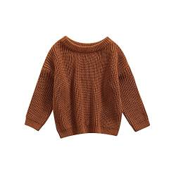 Geagodelia Kleinkinder Baby Oversized Pullover Mädchen Jungen Grobmaschig Strickpullover Herbst Winter Warm Gestrickt Pulli Oberteil Knitted Jumper Sweater (Braun, 12-18 Monate) von Geagodelia