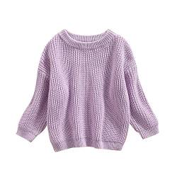 Geagodelia Kleinkinder Baby Oversized Pullover Mädchen Jungen Grobmaschig Strickpullover Herbst Winter Warm Gestrickt Pulli Oberteil Knitted Jumper Sweater (Helllila, 12-18 Monate) von Geagodelia