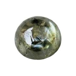 Gems For Jewels Grüner, runder, polierter Diamant-Cabochon für Damen, natürlicher, grüner, schlichter Diamant mit flacher Rückseite für Ring/Ohrringe/Schmuck, 1 Stück, 3,6 mm – PDD591 von Gems For Jewels