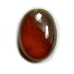 Gemsonclick Natural Hessonite Granat Stein 8 Karat ovale Form Chakra Heilung Birthstone zum Großhandelspreis von Gemsonclick
