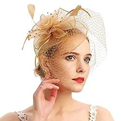 Fascinator Damen, Fascinator Damen Hut Vintage Mesh Federn Kopfbedeckung für Tea Party Hochzeit Cocktail Schleier Kopfschmuck Retro Feder Tee Party Frauen Kirche Haarschmuck Stirnband von Generic