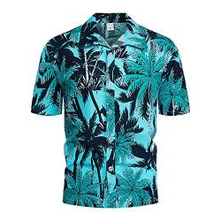 Hawaiihemd Kurzarm Ananas Hemd Kurzarm Herren Jacke,Blau,5XL von Generic