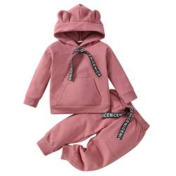 Kleinkind Kinder Kinder Kleinkind Baby Mädchen Jungen Langarm Niedlichen Tiere Hoodie Sweatshirt Pullover Tops Baumwolle Hosen Hosen Outfit Set 2 Kinder Anziehsachen Für Mädchen (Pink, 18-24 Months) von Generic