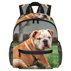 Rucksack mit englischer Bulldogge für Kleinkinder, Jungen, Mädchen, Kindergarten, Kinder, Snack, Kindergarten, Schule, mehrfarbig, 10x4x12 in von Generic