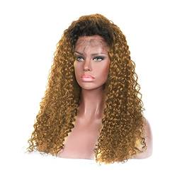 Wigs Blonde Curly Synthetic Lace Front Wigs for WOmen and Girl Two Color Lace Front Wigs Synthetic Hair Wig Wig (22inches) von Generic