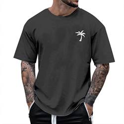 T-Shirts für Herren Rundhals Sommer Shirts Oversized Tshirts Männer Kurzarm T Shirt Sportshirt Baumwolle Basic Shirts Lose Sommer Oberteile Kurzarm Cotton Tee Streetwear von Generisch