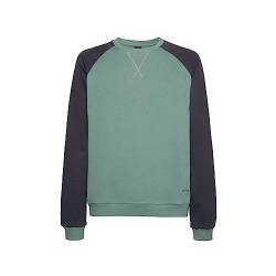 Geox Mens M Sweater, Silver Pine/Blue NIG, Regular von Geox