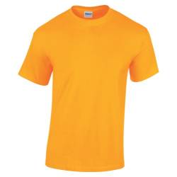 Gildan Kinder Unisex T-Shirt (2 Stück/Packung) (S) (Goldgelb) von Gildan