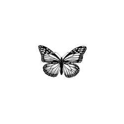 Jade-Schmetterling Temporärer Tattoo-Aufkleber Saftpflanzen-Tinte Wasserfest Semi-Permanent Und 2 Wochen Haltbar Weiblicher Sexy Schlüsselbein-Arm von GoDdis