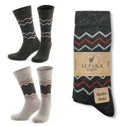 GoWith 2er Paar Alpakasocken, Weiche und Bequeme Herren und Damen Wintersocken, Thermo-Effekt Crew Wollsocken Vorgewaschen, Beige-Braun, Größe 43-46, Model: 3099 von GoWith