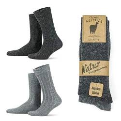 GoWith Alpaka Wollsocken für Damen und Herren, 2 Paar, Thermosocken für Wandern und Camping, Feinstrick, dick, Merinowolle, Stiefelsocken, warm, beige braun grau dunkelgrau 36-42 43-46, von GoWith