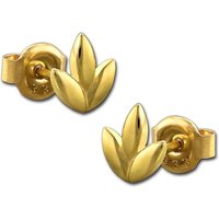 GoldDream Paar Ohrstecker GoldDream Damen Gold Ohrringe Blätter (Ohrstecker), Damen Ohrstecker (Blätter) aus 333 Gelbgold - 8 Karat, ca. 6mm x 7mm von GoldDream